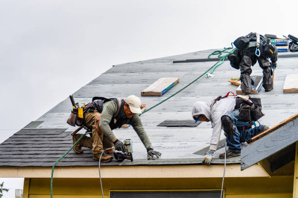 Professional Flat Roof Repair technician working in Lyons, WI